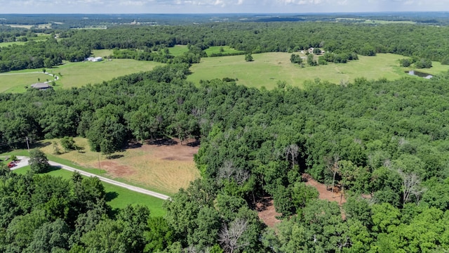 LOT3 E 419th Rd, Bolivar, MO 65613 - photo 9