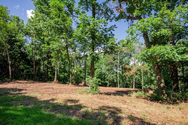 LOT3 E 419th Rd, Bolivar, MO 65613 - photo 3