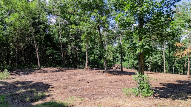 LOT3 E 419th Rd, Bolivar, MO 65613 - photo 6