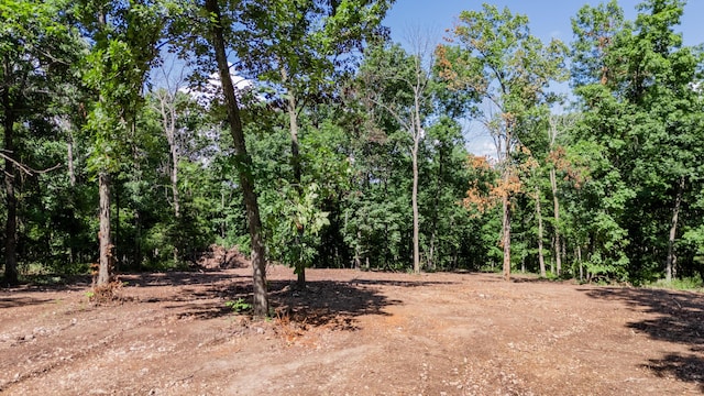 LOT3 E 419th Rd, Bolivar, MO 65613 - photo 7