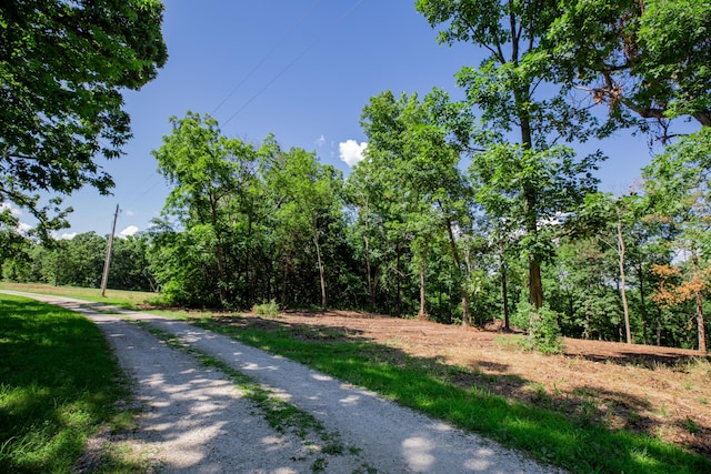 LOT3 E 419th Rd, Bolivar, MO 65613 - photo 1