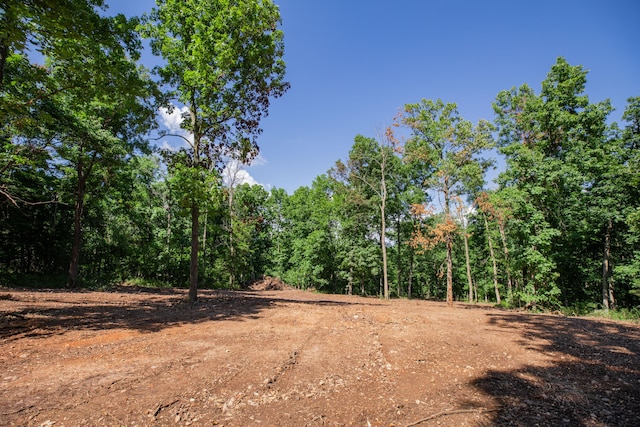 LOT3 E 419th Rd, Bolivar, MO 65613 - photo 4