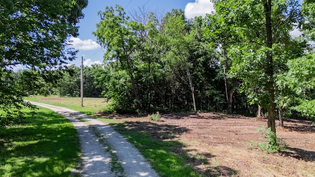 LOT3 E 419th Rd, Bolivar, MO 65613 - photo 2