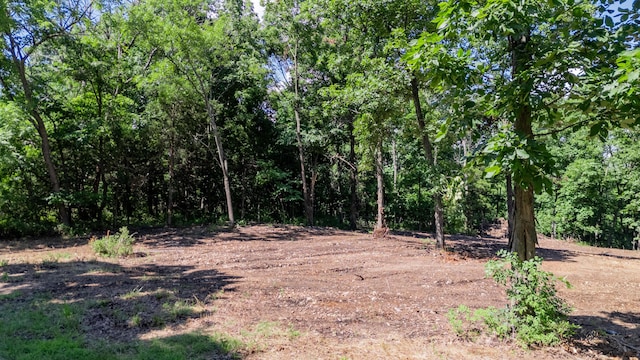 LOT3 E 419th Rd, Bolivar, MO 65613 - photo 5