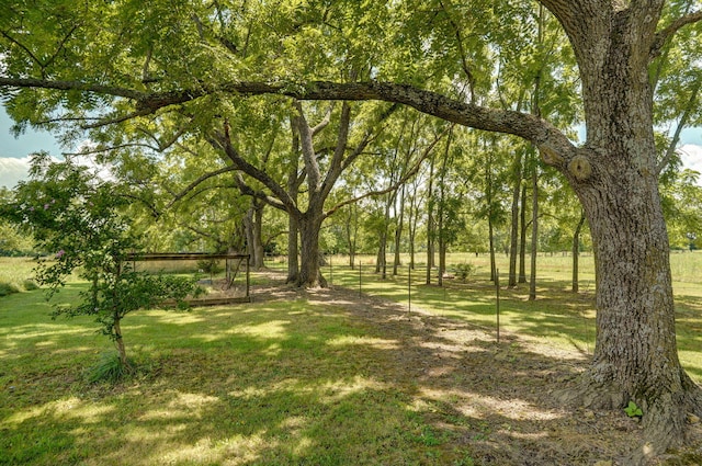 12356 Lawrence Unit 1150, Mount Vernon, MO 65712 - photo 30