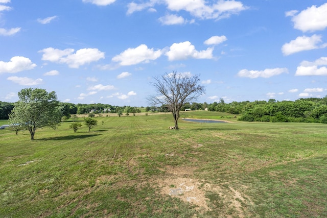 10071 W Farm Road 48, Walnut Grove, MO 65770 - photo 50