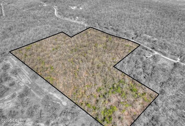 000 Gum Rd, Seneca, MO 64865 - photo 1