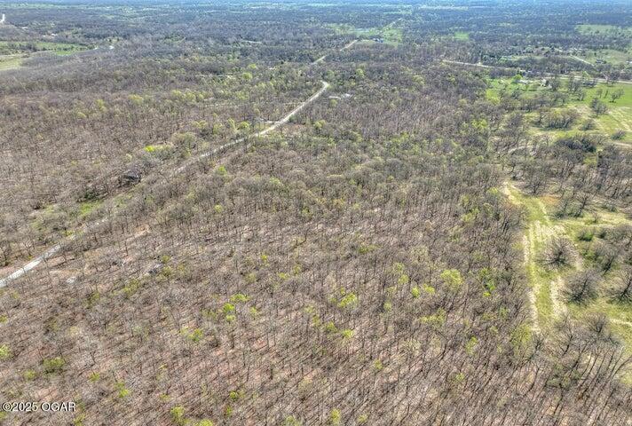 000 Gum Rd, Seneca, MO 64865 - photo 2