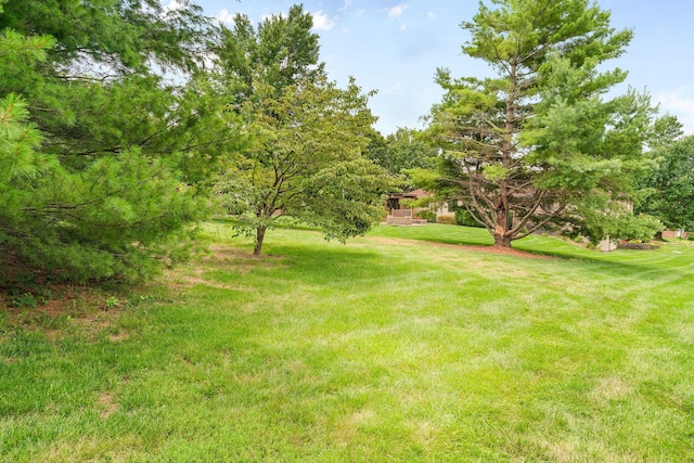 2050 N Steeple Chase Ct, Nixa, MO 65714 - photo 39