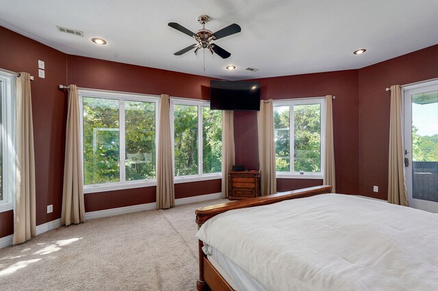 7906 W Farm Road 94, Willard, MO 65781 - photo 29