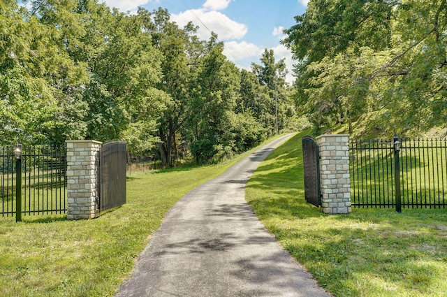 7906 W Farm Road 94, Willard, MO 65781 - photo 59