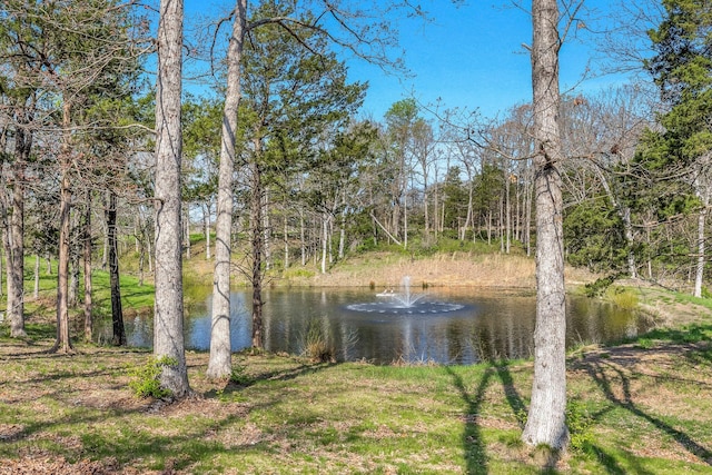 2655 E Burnt Paradise Ln, Springfield, MO 65803 - photo 7