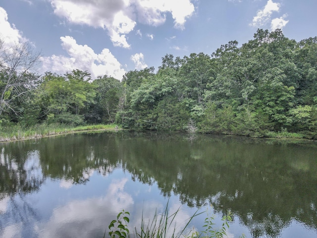22610 County Road 286, Pittsburg, MO 65724 - photo 6