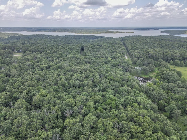 22610 County Road 286, Pittsburg, MO 65724 - photo 4