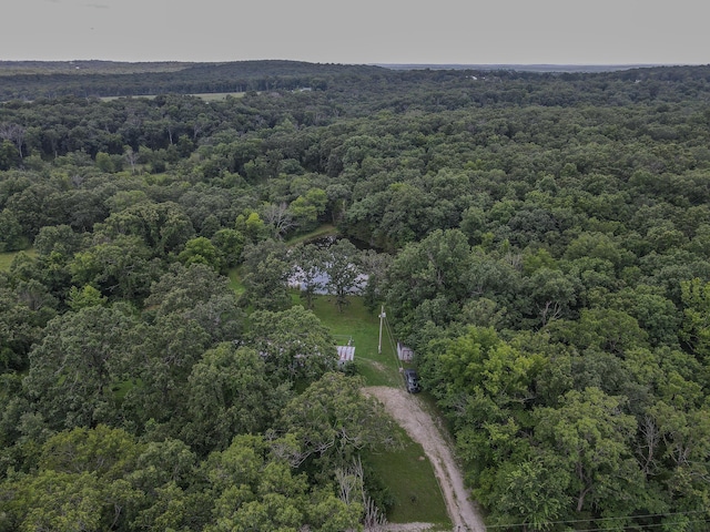 22610 County Road 286, Pittsburg, MO 65724 - photo 7