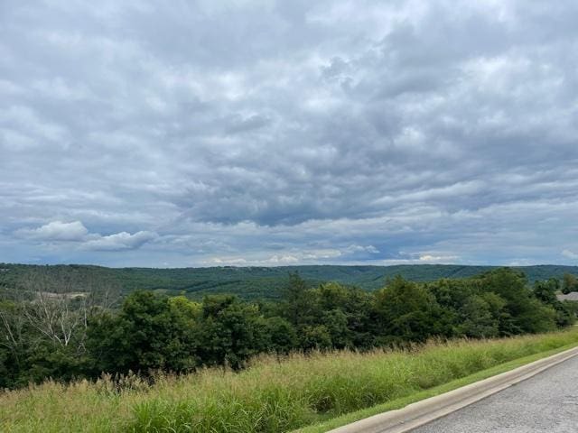 LOT241 Crescent Dr, Hollister, MO 65672 - photo 1