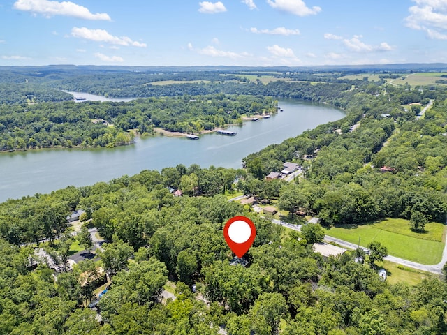26355 Burr Oak Ln, Golden, MO 65658 - photo 2