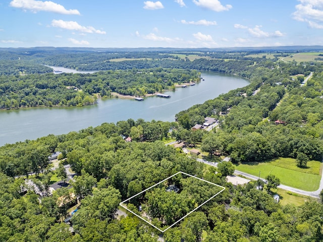 26355 Burr Oak Ln, Golden, MO 65658 - photo 28