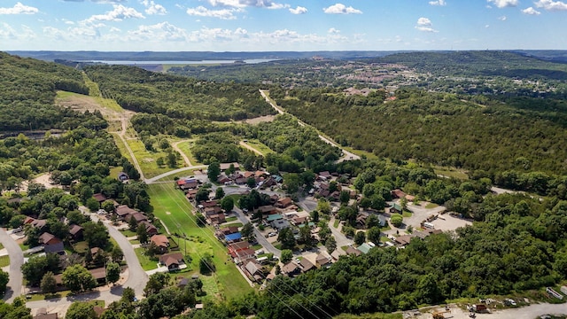 141 Bears Paw Way, Hollister, MO 65672 - photo 41