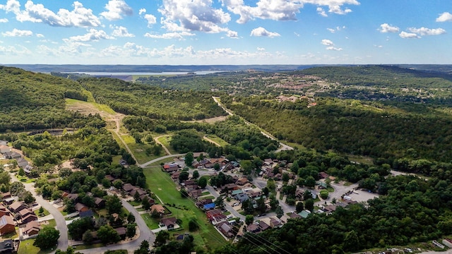 141 Bears Paw Way, Hollister, MO 65672 - photo 43