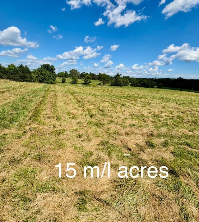 001TBD County Road 900, Theodosia, MO 65761 - photo 3