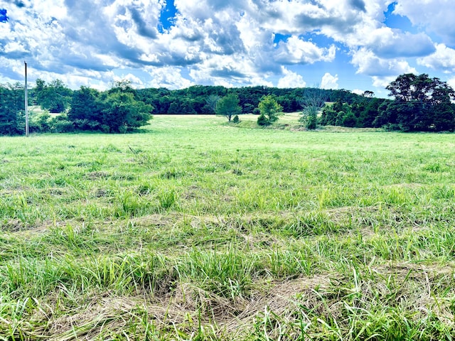 001TBD County Road 900, Theodosia, MO 65761 - photo 1