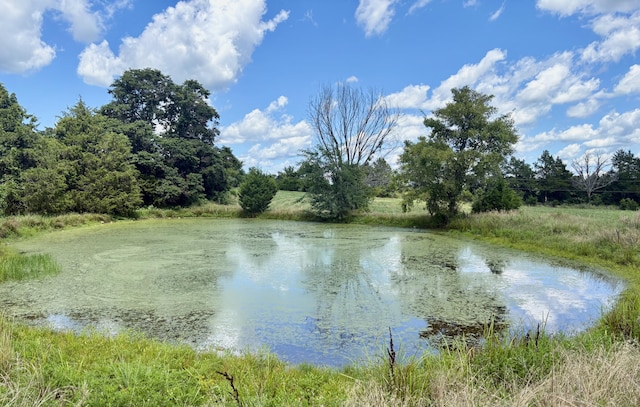 001TBD County Road 900, Theodosia, MO 65761 - photo 14