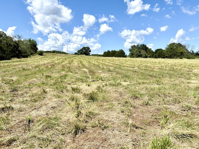 001TBD County Road 900, Theodosia, MO 65761 - photo 12