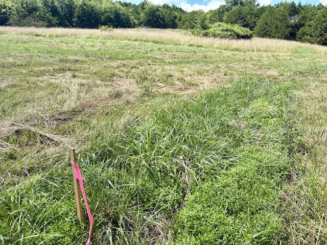 001TBD County Road 900, Theodosia, MO 65761 - photo 13