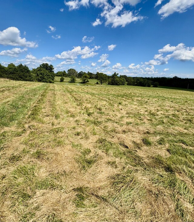 001TBD County Road 900, Theodosia, MO 65761 - photo 2