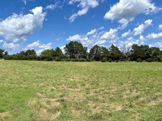 001TBD County Road 900, Theodosia, MO 65761 - photo 5