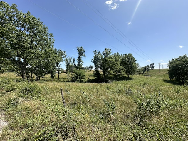 11173 N Farm Rd 75, Walnut Grove, MO 65770 - photo 24