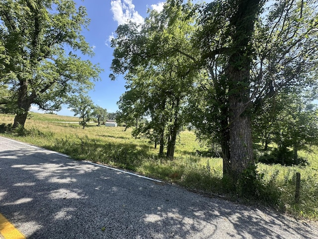 11173 N Farm Rd 75, Walnut Grove, MO 65770 - photo 23