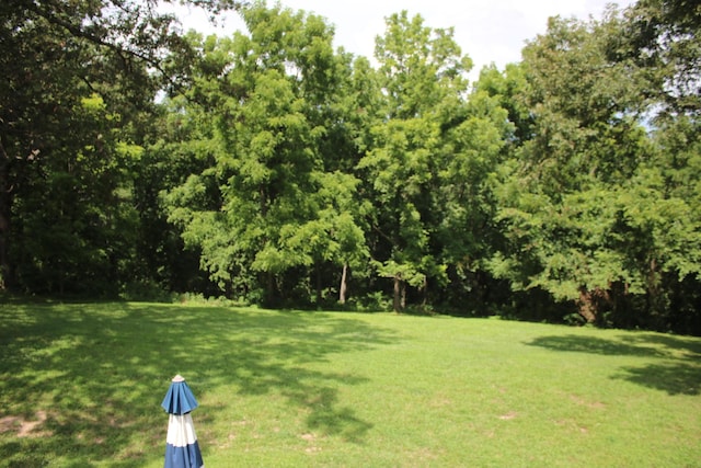 1663 W Riverfork Dr, Nixa, MO 65714 - photo 22