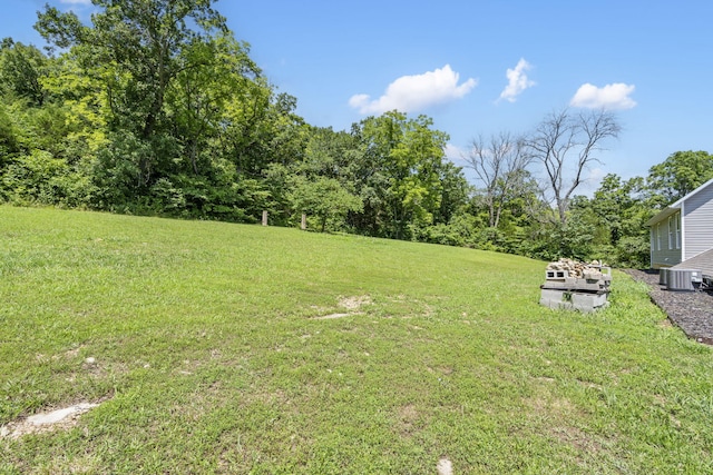 110 Craig Rd, Walnut Shade, MO 65771 - photo 51