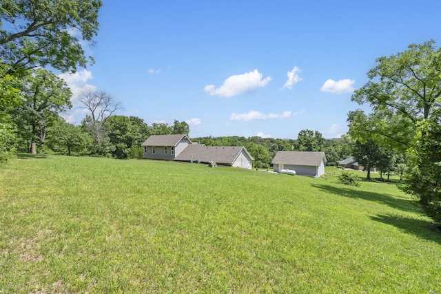 110 Craig Rd, Walnut Shade, MO 65771 - photo 47