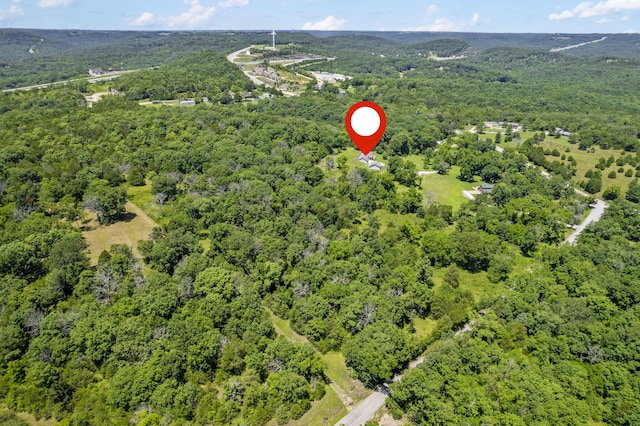 110 Craig Rd, Walnut Shade, MO 65771 - photo 59