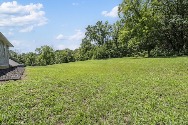 110 Craig Rd, Walnut Shade, MO 65771 - photo 50