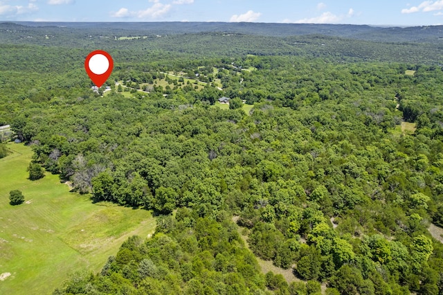 110 Craig Rd, Walnut Shade, MO 65771 - photo 58