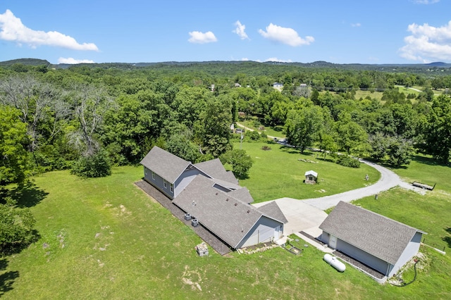 110 Craig Rd, Walnut Shade, MO 65771 - photo 53