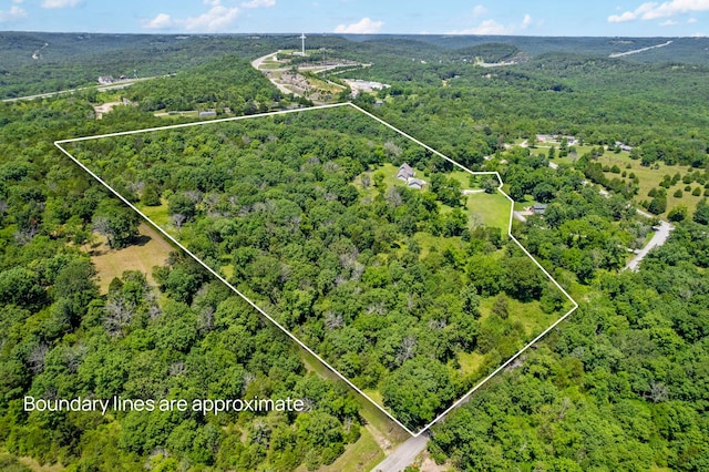 110 Craig Rd, Walnut Shade, MO 65771 - photo 60