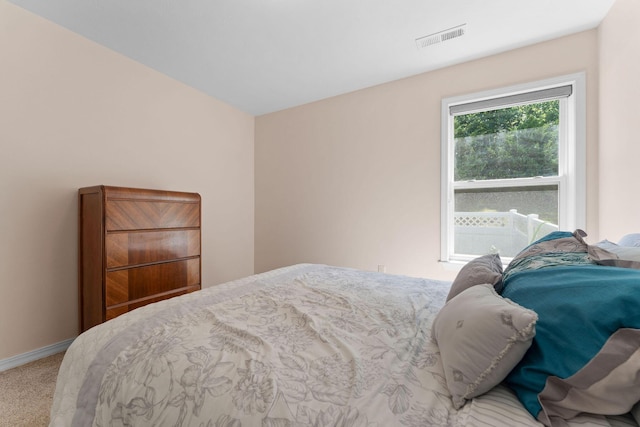 103 Anne Ln, Branson, MO 65616 - photo 10
