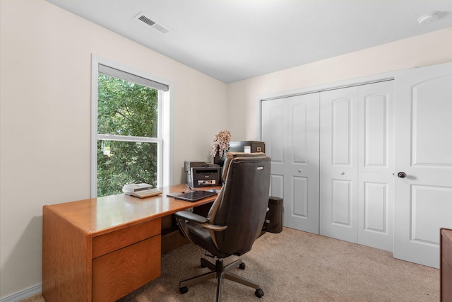 103 Anne Ln, Branson, MO 65616 - photo 14