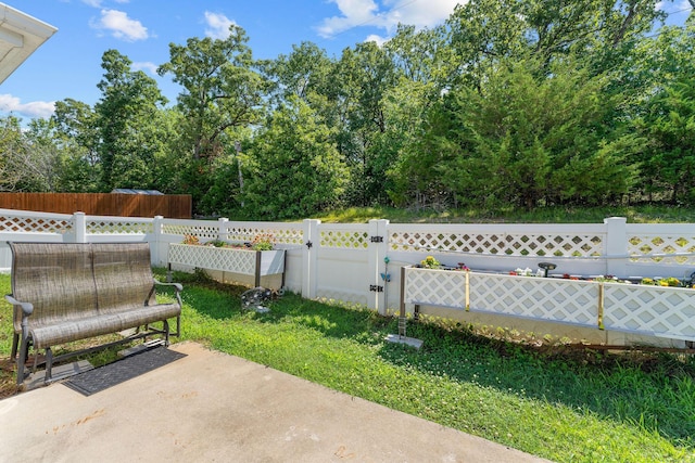103 Anne Ln, Branson, MO 65616 - photo 29