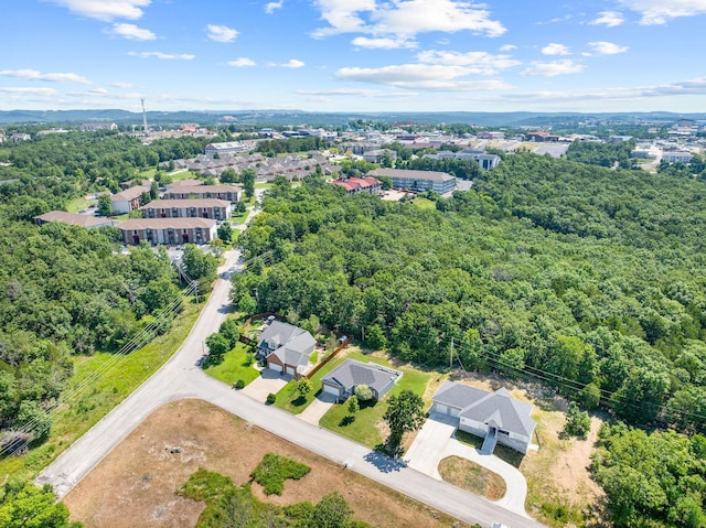 103 Anne Ln, Branson, MO 65616 - photo 37