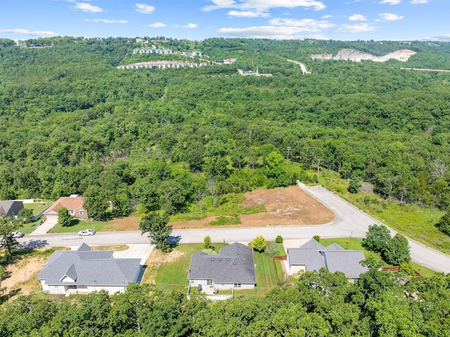 103 Anne Ln, Branson, MO 65616 - photo 7