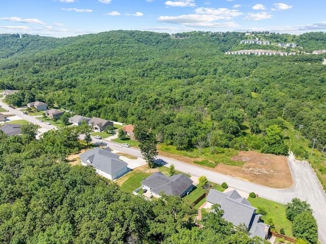 103 Anne Ln, Branson, MO 65616 - photo 31
