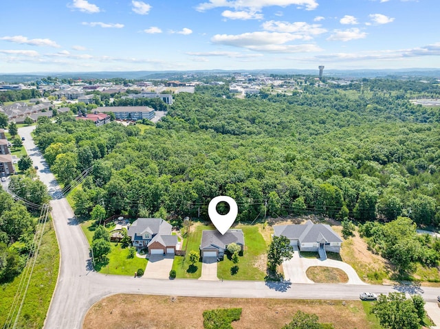 103 Anne Ln, Branson, MO 65616 - photo 36