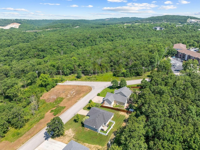 103 Anne Ln, Branson, MO 65616 - photo 30