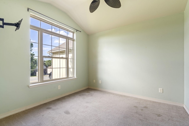 102 Shiloh St, Branson, MO 65616 - photo 19